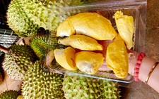 Đắk Lắk: Nâng chất lượng sầu riêng, không tăng diện tích trồng