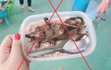 Xác minh thông tin 'học sinh vùng cao phải ăn cơm với thịt chuột'