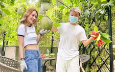 Đàm Vĩnh Hưng khoái chí khi được fan ghép ảnh ‘tình bể bình’ với Mỹ Tâm