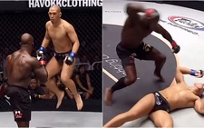 Võ sĩ nhún nhảy trêu ngươi bị đối thủ hạ knock-out