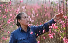 Bộ Nội vụ đồng tình với đề xuất nghỉ Tết Nguyên đán 7 ngày