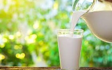 Ireland muốn tăng cung cấp sữa, thịt heo và hải sản cho thị trường Việt Nam