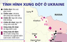 Sẽ có trưng cầu ý dân tại Donbass?