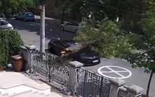 Xế hộp bị cây đè và nỗi đau nhân đôi của khổ chủ khi được cứu hộ
