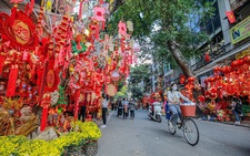 Tết này có về không?