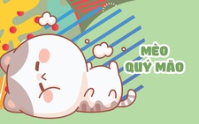 Năm Quý Mão kể chuyện mèo