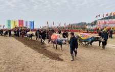 Lãnh đạo Hà Nam đi cày trong lễ hội Tịch điền