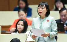 Đại biểu lo quy hoạch tổng thể quốc gia liệt kê cơ học, ôm đồm