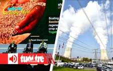 Điểm tin 18h: Ra mắt giống lúa có chỉ số đường huyết cực thấp; Năng lượng hạt nhân nóng ở châu Âu
