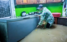 Đà Nẵng khẳng định có giải pháp căn cơ giải quyết ngập lụt đô thị