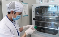 TP.HCM ra quy định mới về quản lý nhiệm vụ khoa học công nghệ