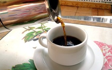 Cà phê có thể bảo vệ gan?
