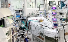 Uống nhầm hóa chất dùng dán thuyền, bé trai 2 tuổi bị tổn thương gan thận nặng