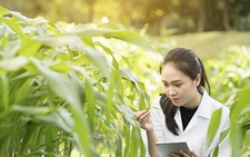 Kỹ sư nông nghiệp là ai, bạn đã hiểu gì về nghề kỹ sư nông nghiệp?