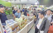 Sầu riêng sẽ vượt thanh long thành trái cây hàng đầu của Việt Nam tại Trung Quốc