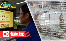 Điểm tin 8h: Giải mã hàng Trung Quốc 'bao nhanh, bao rẻ'; Bắt trăn đất tại bãi xe chung cư
