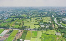 Sau 24 năm, khu quy hoạch công viên vẫn như 'mảnh vườn' hoang sơ