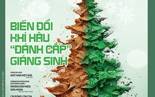 Tuổi Trẻ Cuối Tuần số 50-2023: 'Biến đổi khí hậu 'đánh cắp' Giáng sinh'