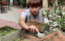 Cuộc thi Lan tỏa năng lượng tích cực 2023: Gìn giữ di sản văn hóa qua mô hình tiểu cảnh