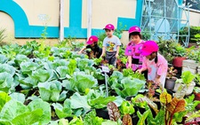 Khi vườn trường có giọt mồ hôi phụ huynh