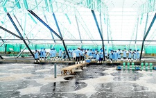 Nghề nuôi biển: Cần giao biển cho dân