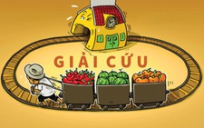Vòng xoay giải cứu nông sản