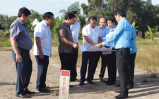 Đề xuất nắn, chỉnh nhiều đoạn dự án vành đai 4 qua Long An để giảm chi phí