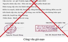 Giả chữ ký giám đốc và con dấu bệnh viện kêu gọi từ thiện, ký hợp đồng lao động