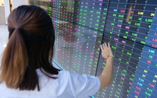 'Cá mập' chứng khoán đang đầu tư vào ngành nào, mã nào?