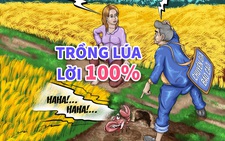 Báo cáo gây xôn xao dư luận: Nông dân trồng lúa lời 100%