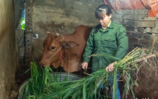 Chương trình 