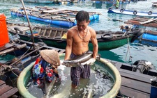 Phát triển nguồn nước sông Mekong, Việt Nam mong muốn các giải pháp cụ thể