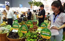 Mua măng cụt Lái Thiêu, quýt Đồng Tháp, quần áo giảm giá... tại hội chợ 250 gian hàng