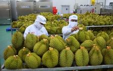 Trung Quốc, Nhật tăng mua nông sản từ Việt Nam