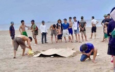Ba em nhỏ tắm biển chết đuối