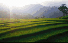 Ngày hội âm nhạc tại Pháp khởi động với những giai điệu Việt Nam