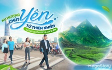 Xu hướng 'Chút Yên từ Thiên Nhiên' tưởng chừng sẽ lạ mà quen