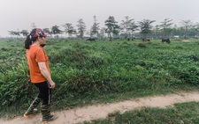 Bộ Tài nguyên xử phạt 53,9 tỉ, kiến nghị thu hồi hơn 5.600ha đất