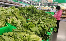 Chủ tịch Phan Văn Mãi: Đất nông nghiệp còn cả nhà ở... sao xây dựng hạ tầng đồng bộ?