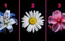 Quiz: Điều gì đang cản trở hạnh phúc của bạn?