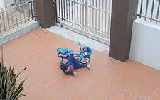 Bé trai giả vờ ngã xe đạp để được chị bế