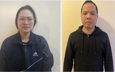 Khởi tố 5 người vì bán trái phép đất hiếm sang Trung Quốc