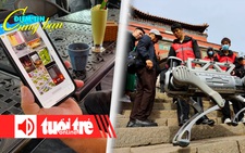 Điểm tin 8h: Lừa đảo bằng chiêu góp vốn buôn trái cây; Chó robot dọn rác trên núi
