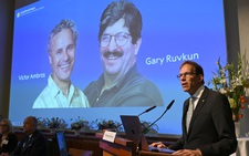 Nobel y sinh vinh danh nghiên cứu về điều hòa gene