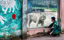 Sở Tài nguyên và Môi trường: Hoạt động của Thảo cầm viên có tính chất đặc thù