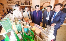 Tăng hợp tác để phát triển du lịch Đà Lạt