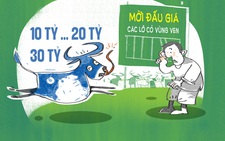 Đấu giá đất 'ảo tung chảo' 30 tỉ đồng một mét vuông đất ngoại thành