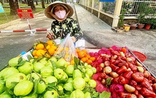 Tết về trong những hẻm nghèo