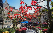 Du khách tưng bừng trẩy hội xuân tại Sun World Ba Na Hills