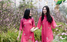 Home Hanoi Xuan 2024: Mùa xuân tràn cảm xúc tại thành phố sáng tạo Mailand Hanoi City